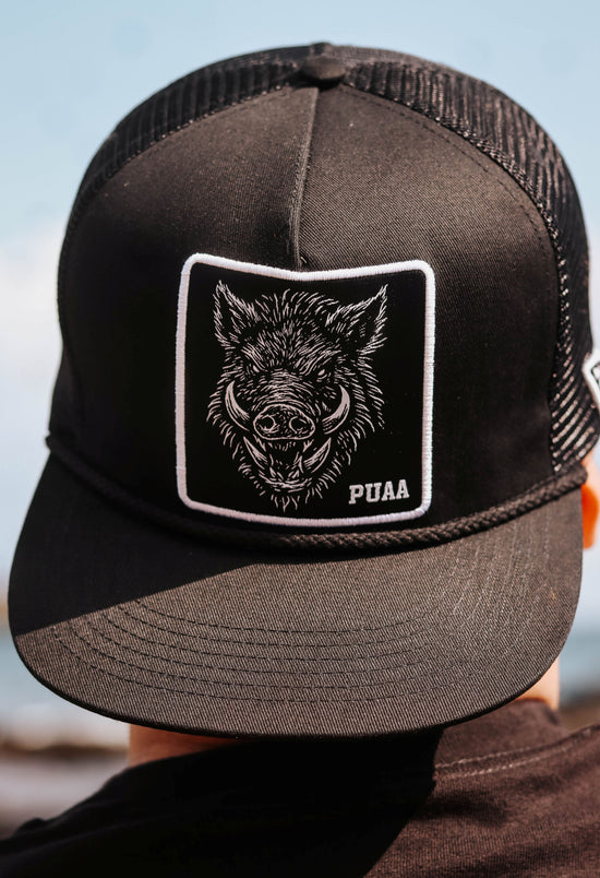 PUA&