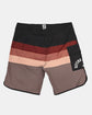 SUNBURN Boardshorts